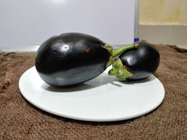 Bharta Brinjal भरता / बैंगन भरता - Image 2