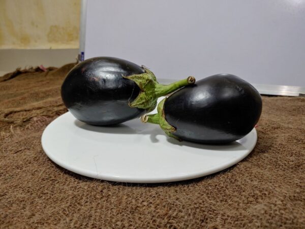 Bharta Brinjal भरता / बैंगन भरता - Image 3