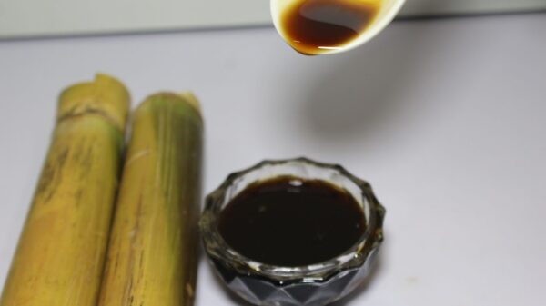 Liquid Jaggery | Kakvi | काकवी  राब - Image 4