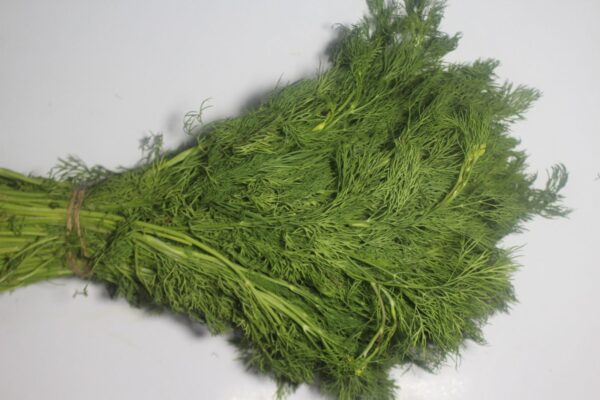 Dill leaves - शेपू