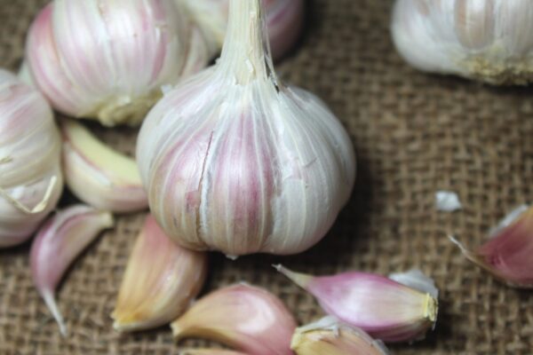 Fresh Deshi Pink Garlic | Lasun - गावरान गुलाबी लसूण | लहसुन - Image 2