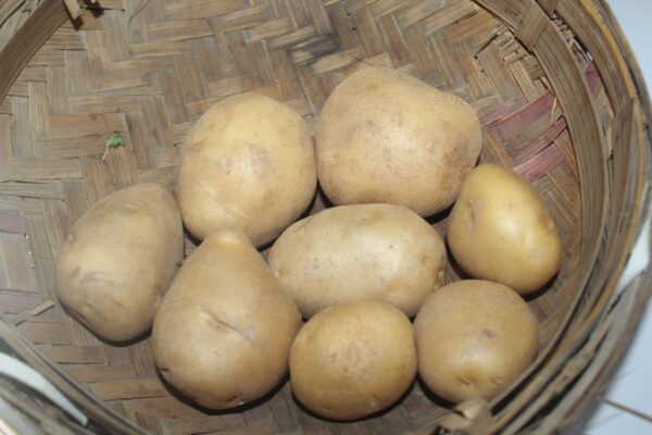 Potato बटाटा - Image 2