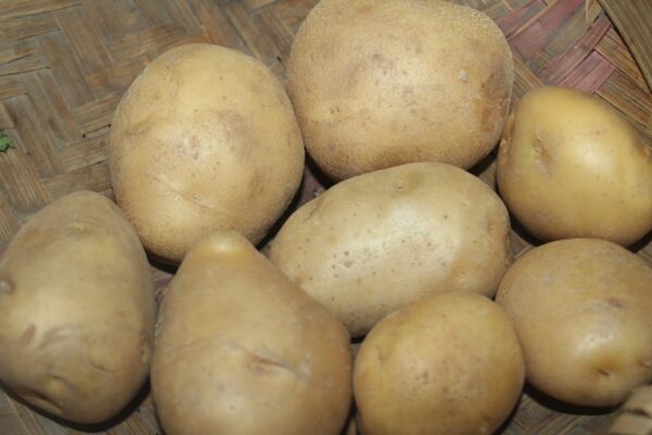 Potato बटाटा - Image 4