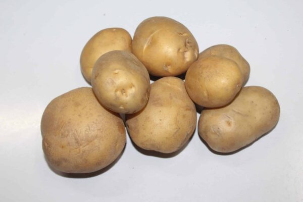 Potato बटाटा