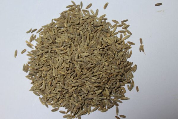 Jeera / Cumin seeds - जीरा साबुत