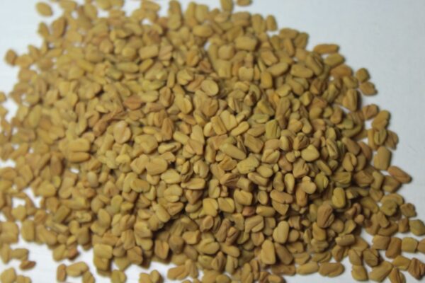 Methi dana / Fenugreek seed - मेथी - Image 3