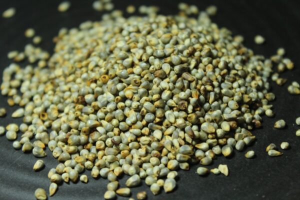 Desi Bajra | Unpolished | Indigenous Pearl Millet बाजरी - Image 3