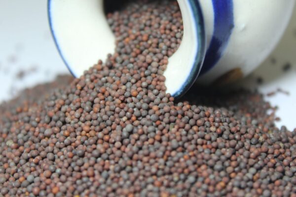Mustard seed | Rai - मोहरी | राई - Image 3