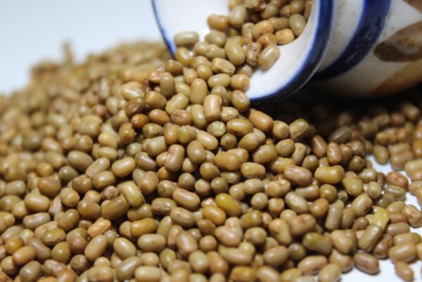 Deshi Matki | Moth bean गावरान मटकी - Image 2