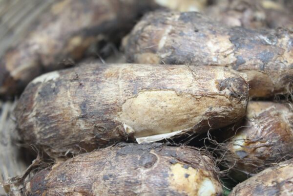 Taro Root / Arbi - अरबी - Image 3