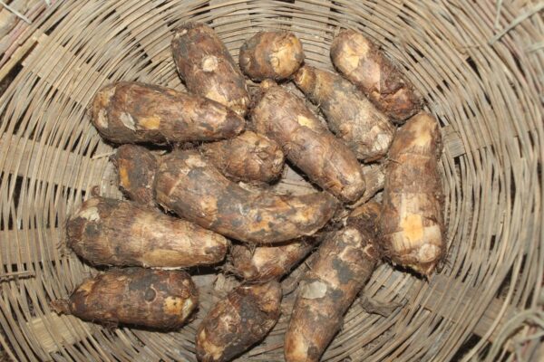 Taro Root / Arbi - अरबी - Image 2